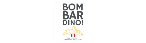 Bombardino